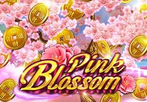 pink-blossom