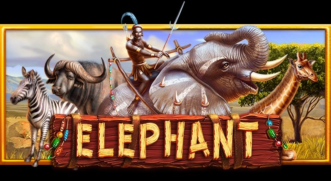 elephant