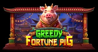 greedy-fortune-pig